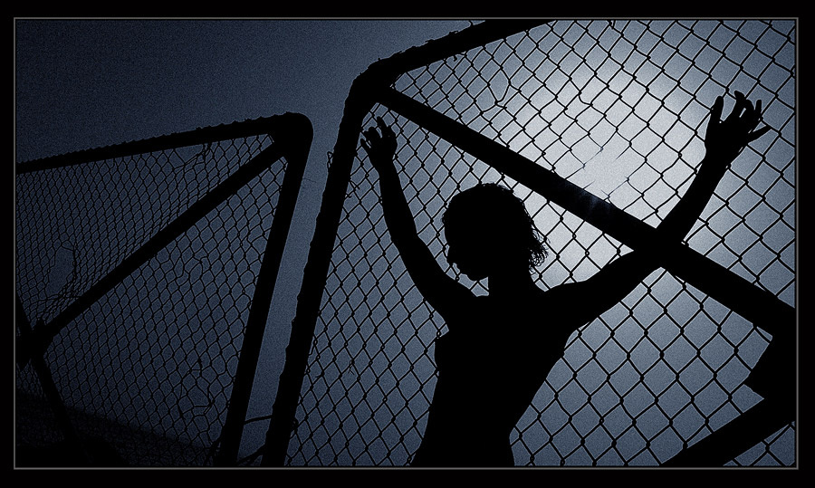 WEB 