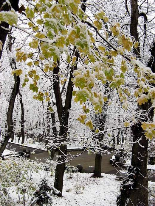 Тонкая грань межсезонья.. Железноводск, осень, грань