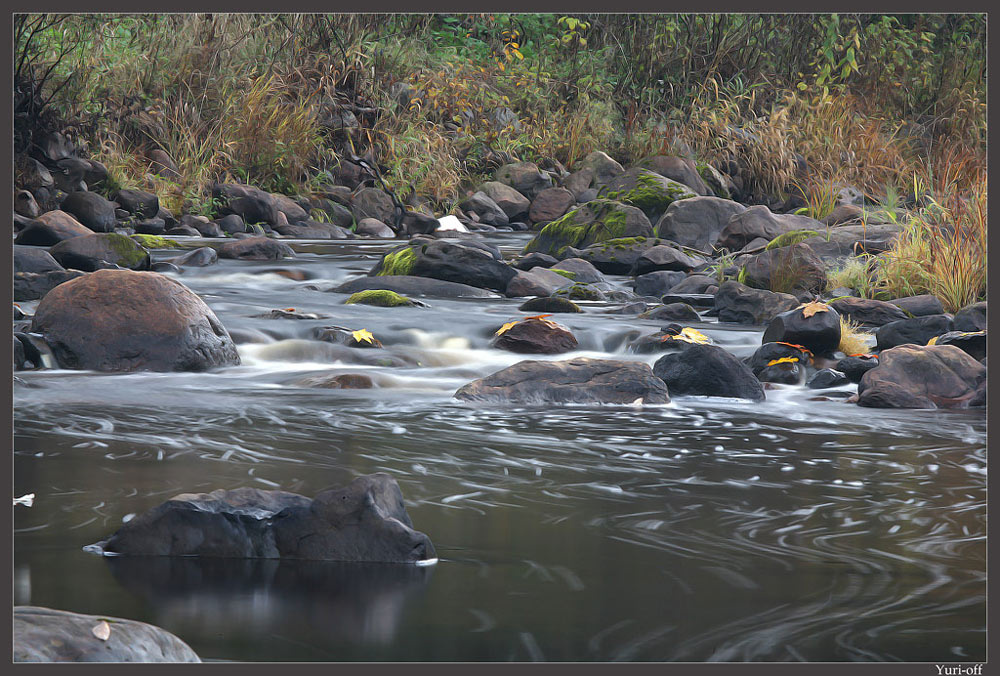 MAPLE LEAVS RIVER... Оять