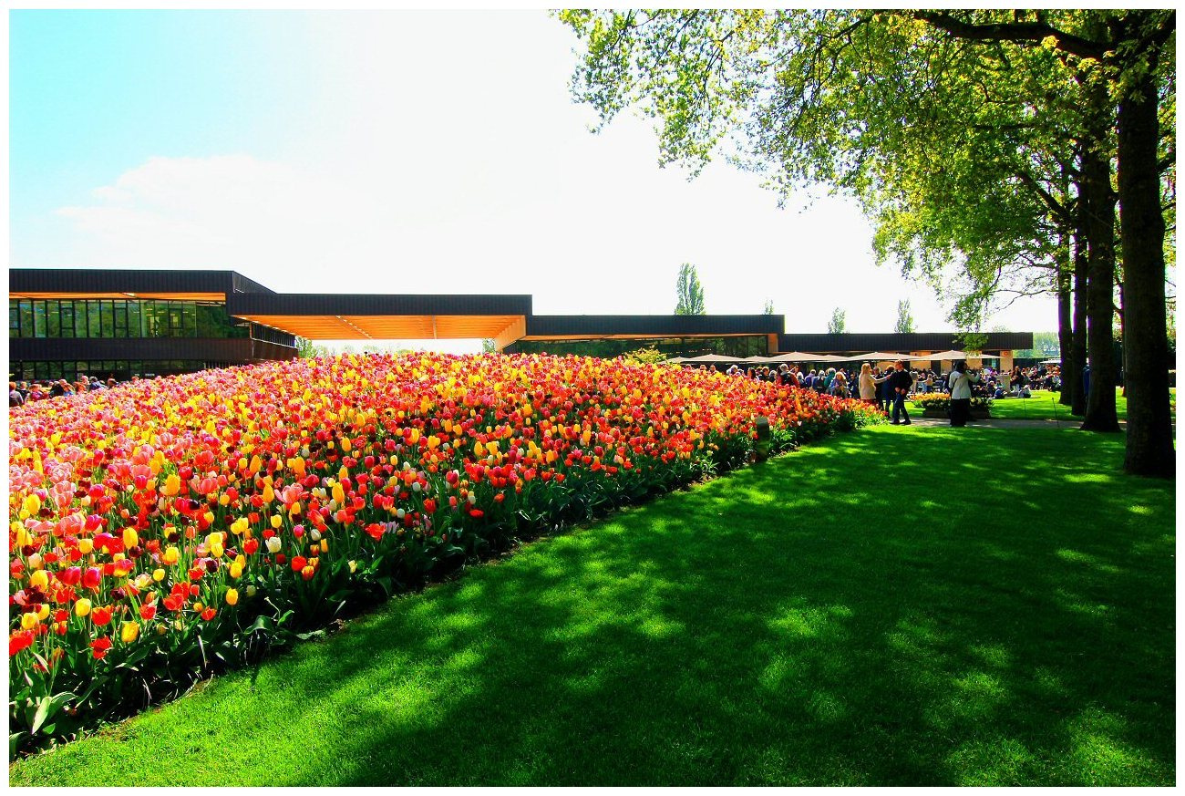 гора цветов Keukenhof 