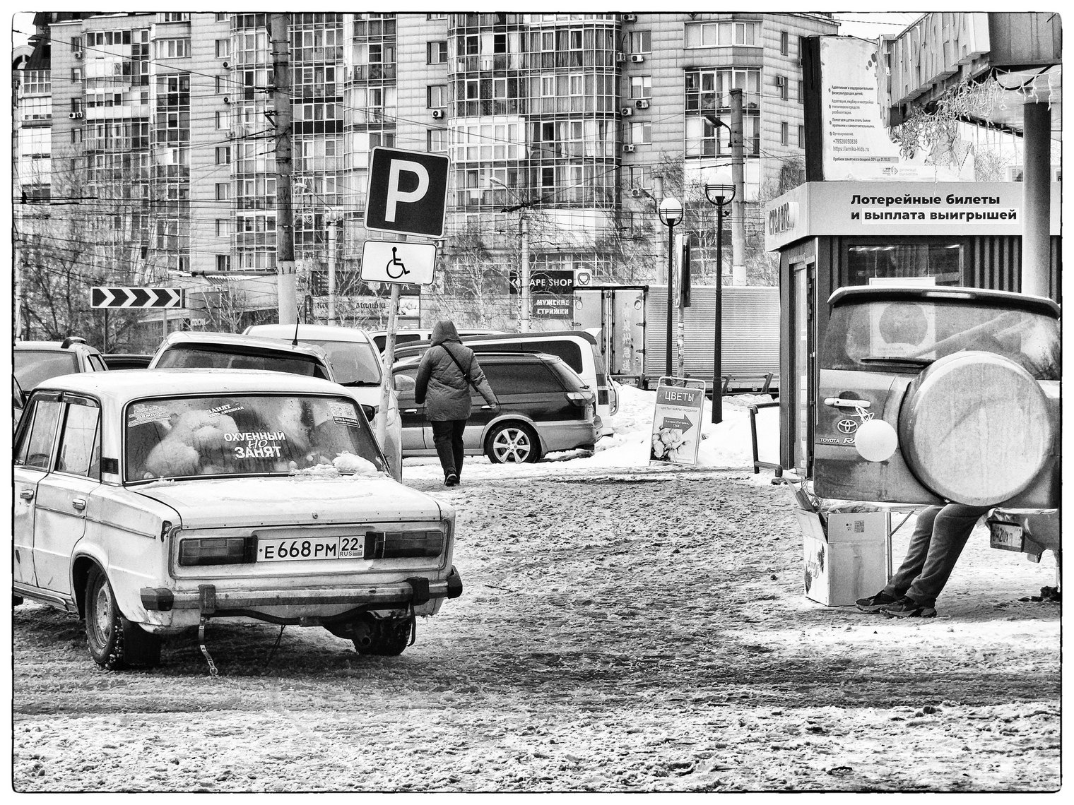 Оптимист 