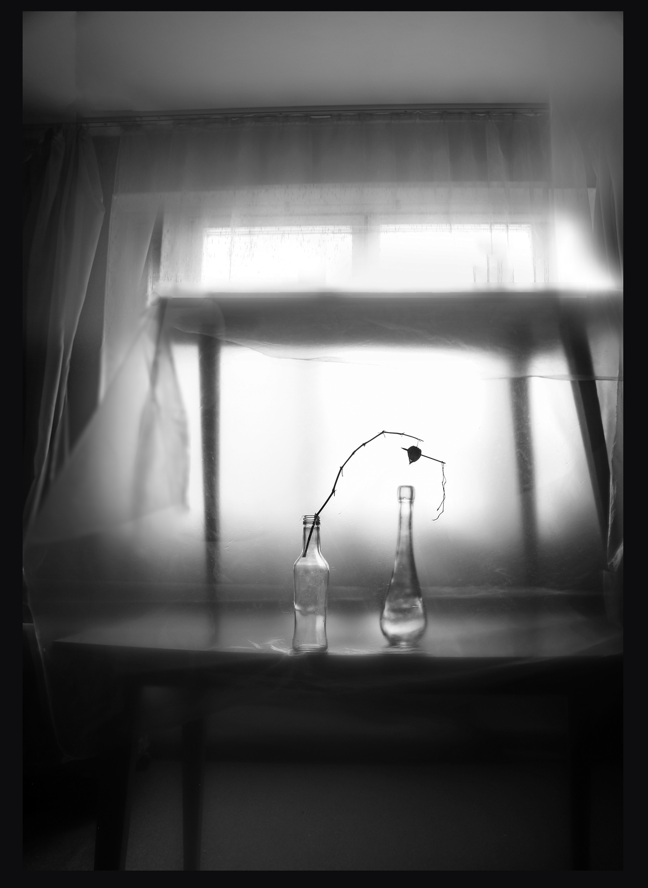 *** 