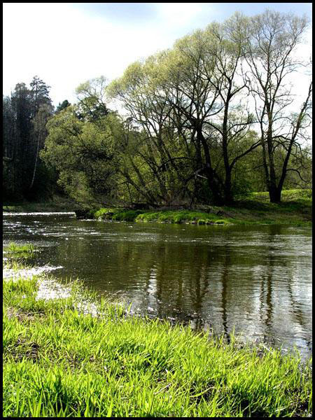 Весна Река, первая зелень, весна, солнечно