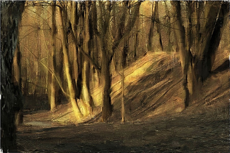 вечер в парке 