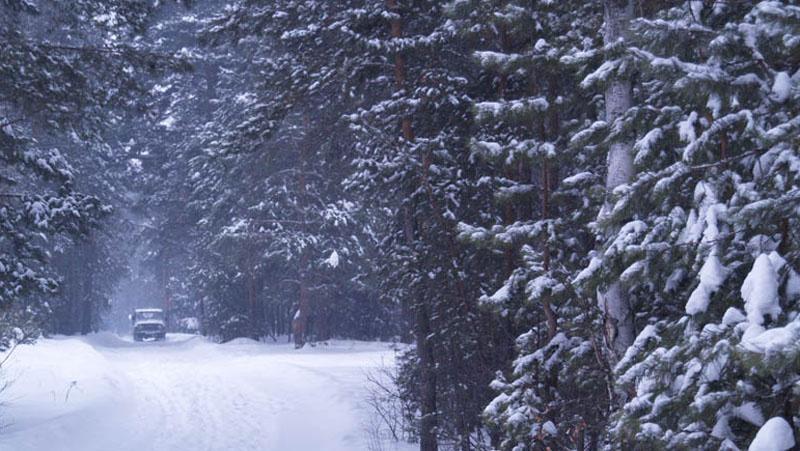  Лесные дороги... Метель, лес, дороги, лошади, машины, люди, природа, город
