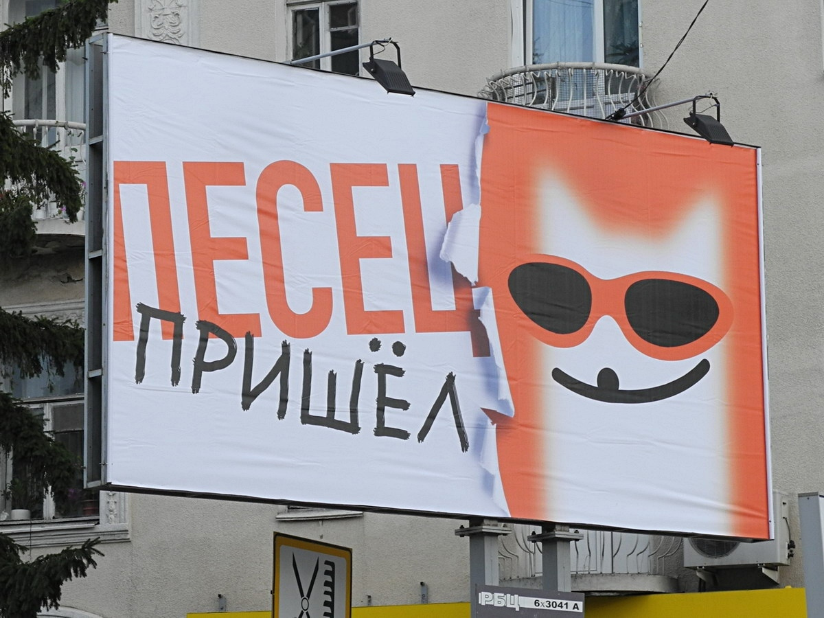Песец пришел! 