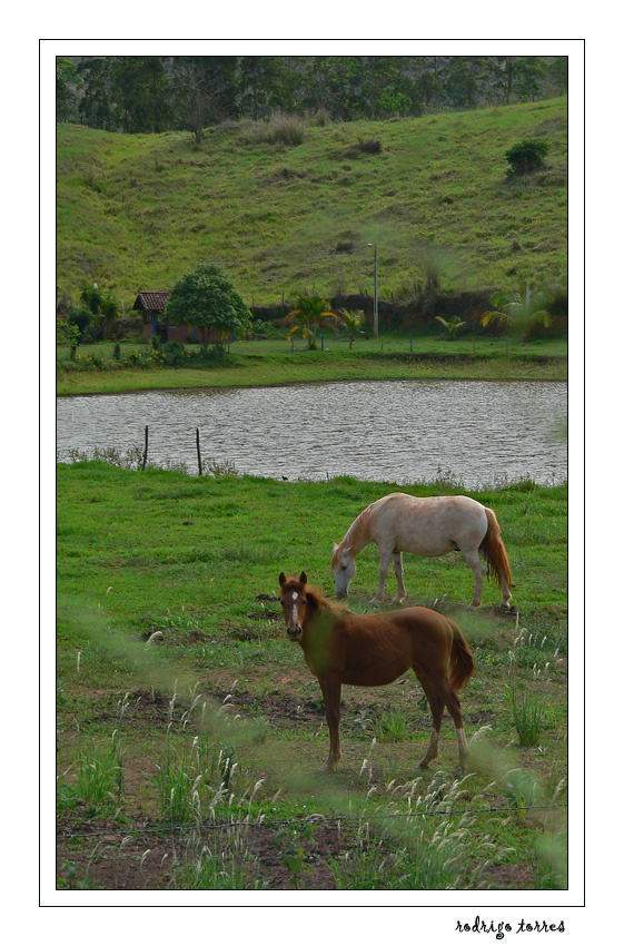 two (Brazil) 