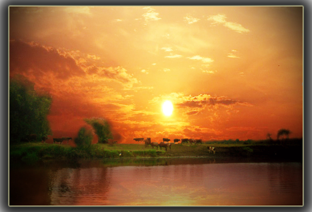 ***У Чутановки село,река, Ворона,Чутановка