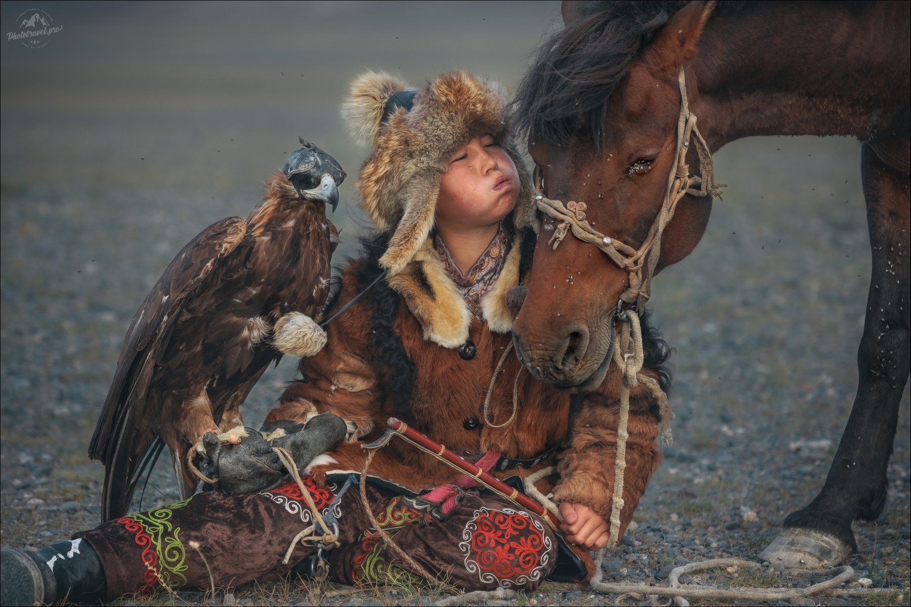 Кыш! монголия осень фестиваль охотник с беркутом mongolia nomad golden eagle festival фототур в монголию на алтай кочевник беркутчи