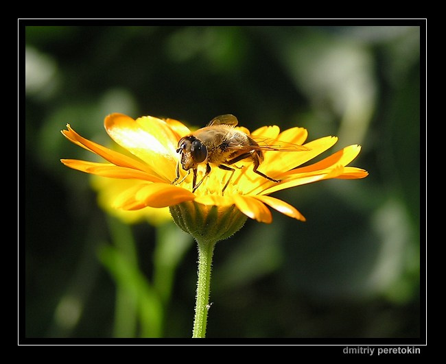 Last labor days, before winter rest #2 