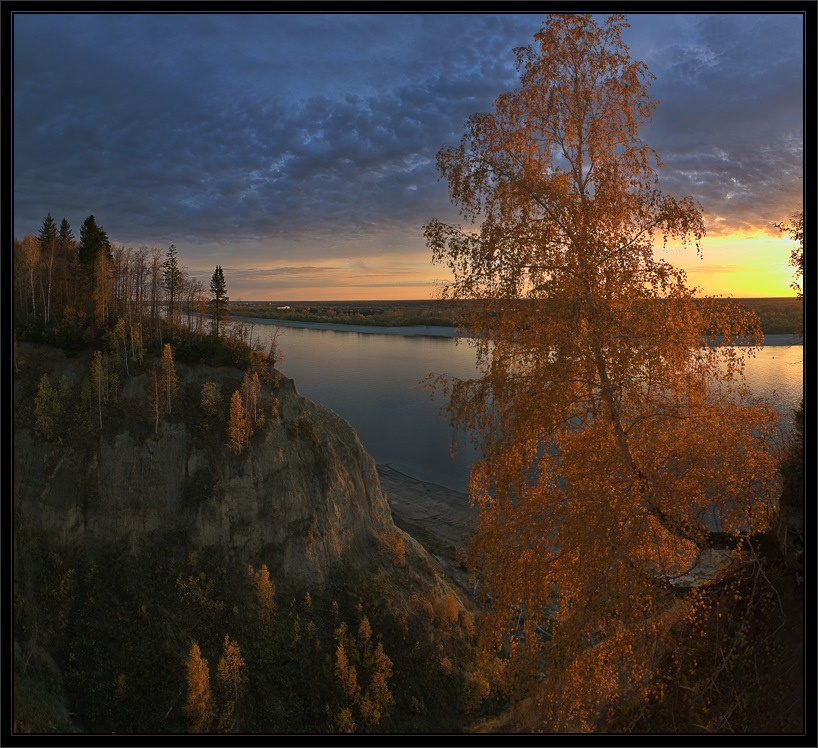 В последних лучах заката. Березв осень река закат