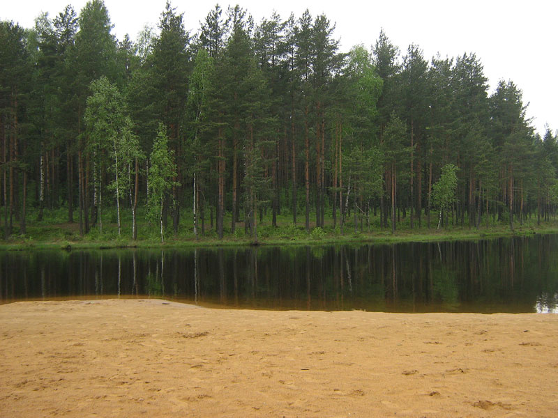 Умиротворение озеро, лес, вода