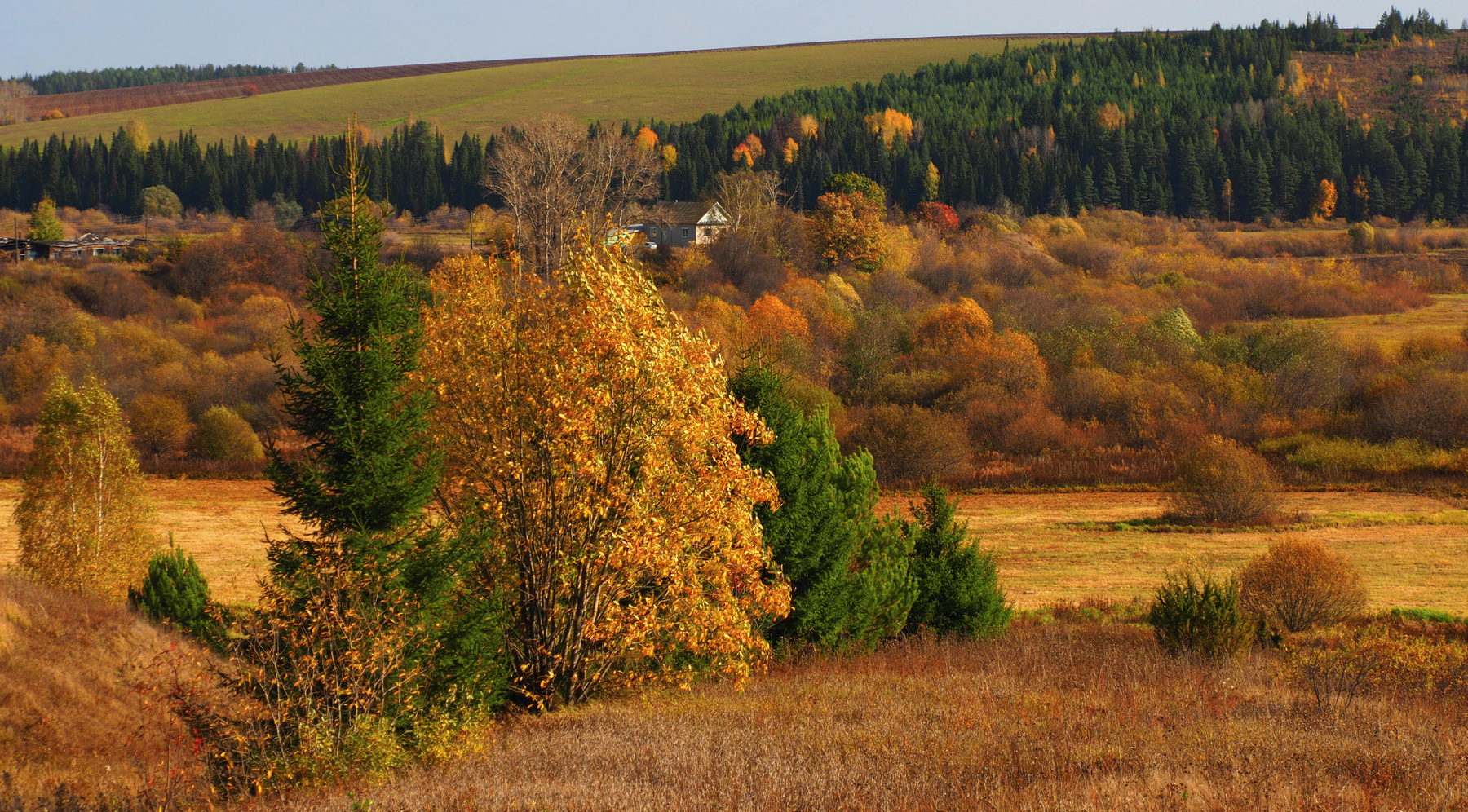 Осень в деревне 