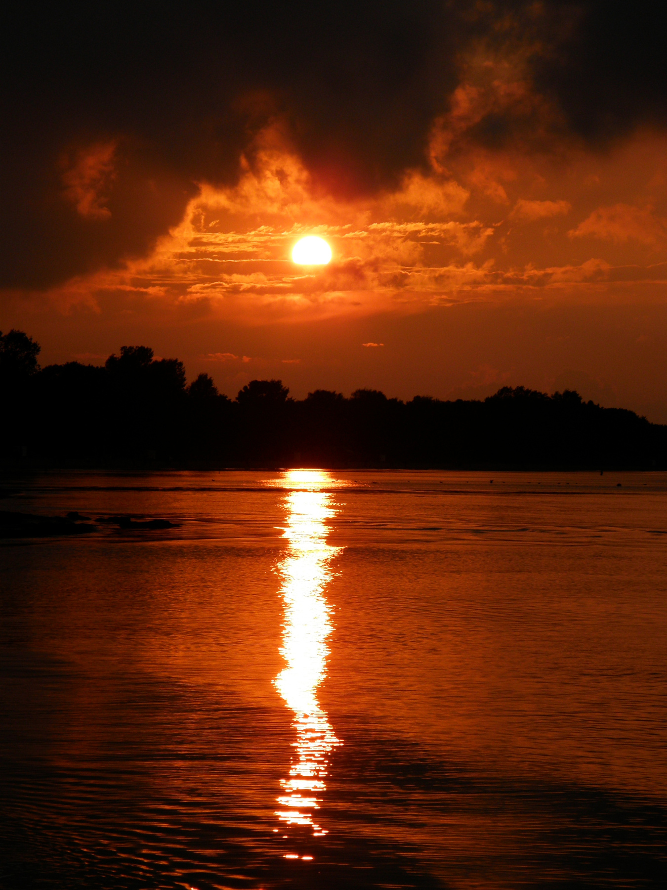 Golden Sunset 