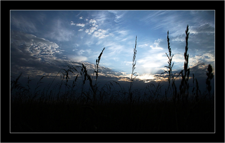 Blue sky... 