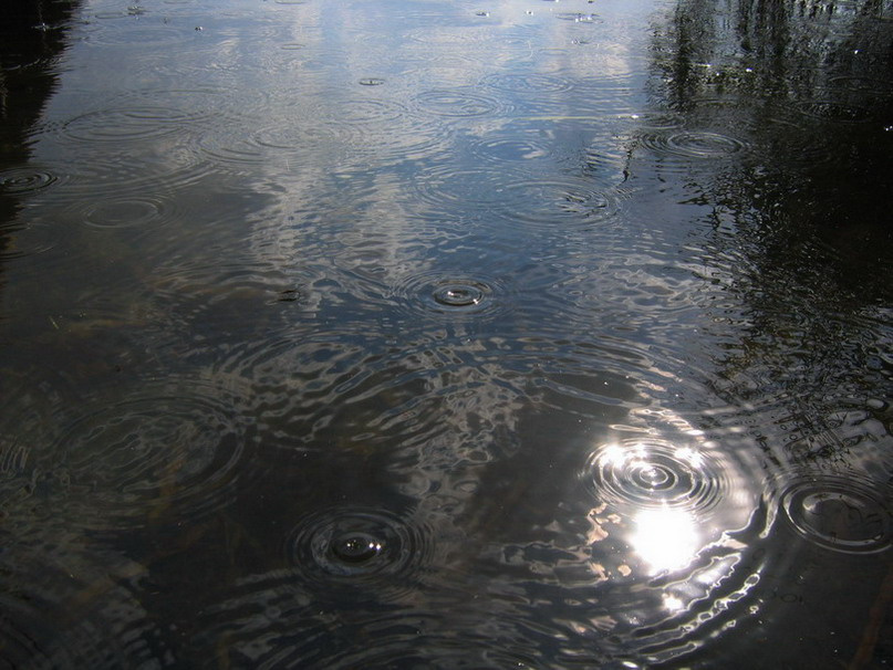 Дождь и солнце дождь, вода, солнце