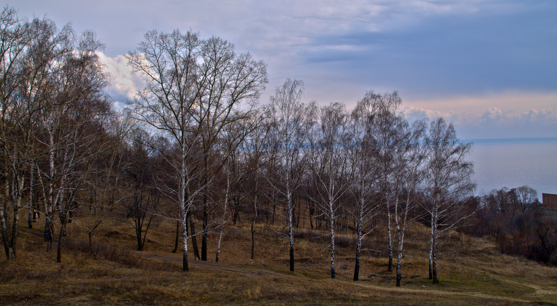 Весенняя зарисовка. 