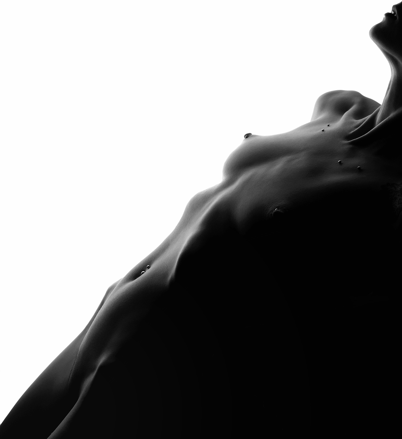 Body landscape/photo book 