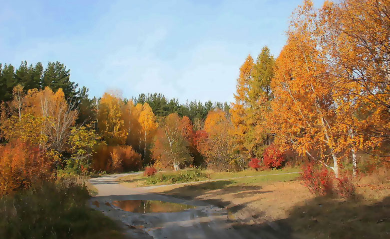Осеняя прогулка 