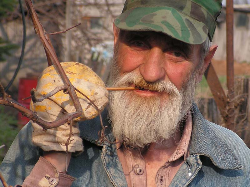 весений сок портрет природа мужик