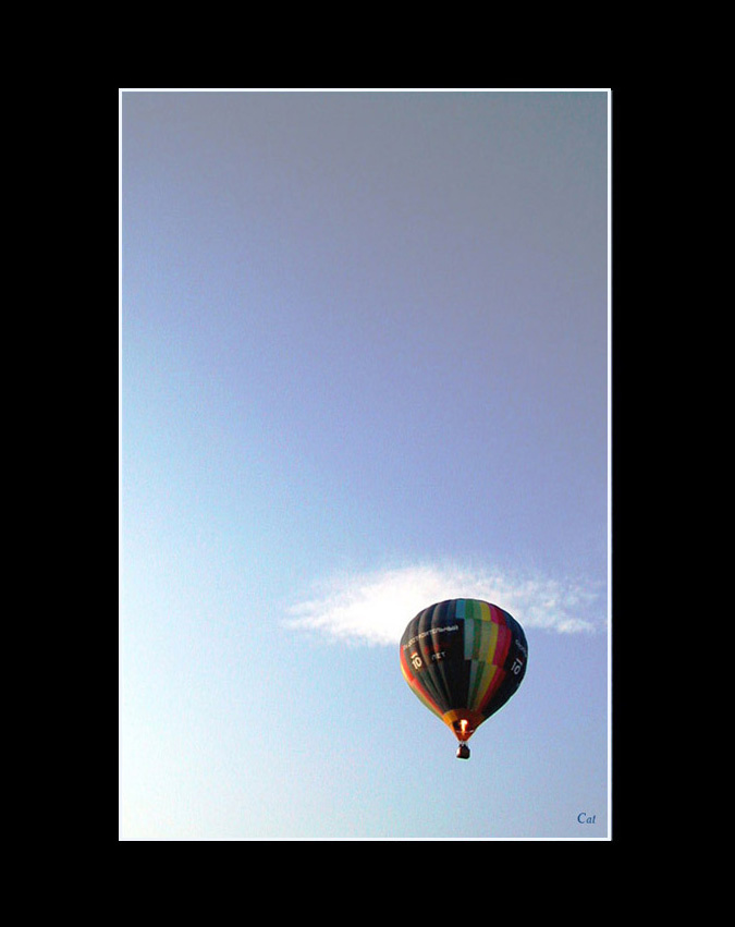 _fly away from here_ that was the last chance no more fish never again