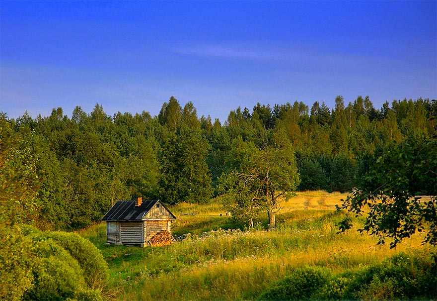 * * * домик деревня лес природа