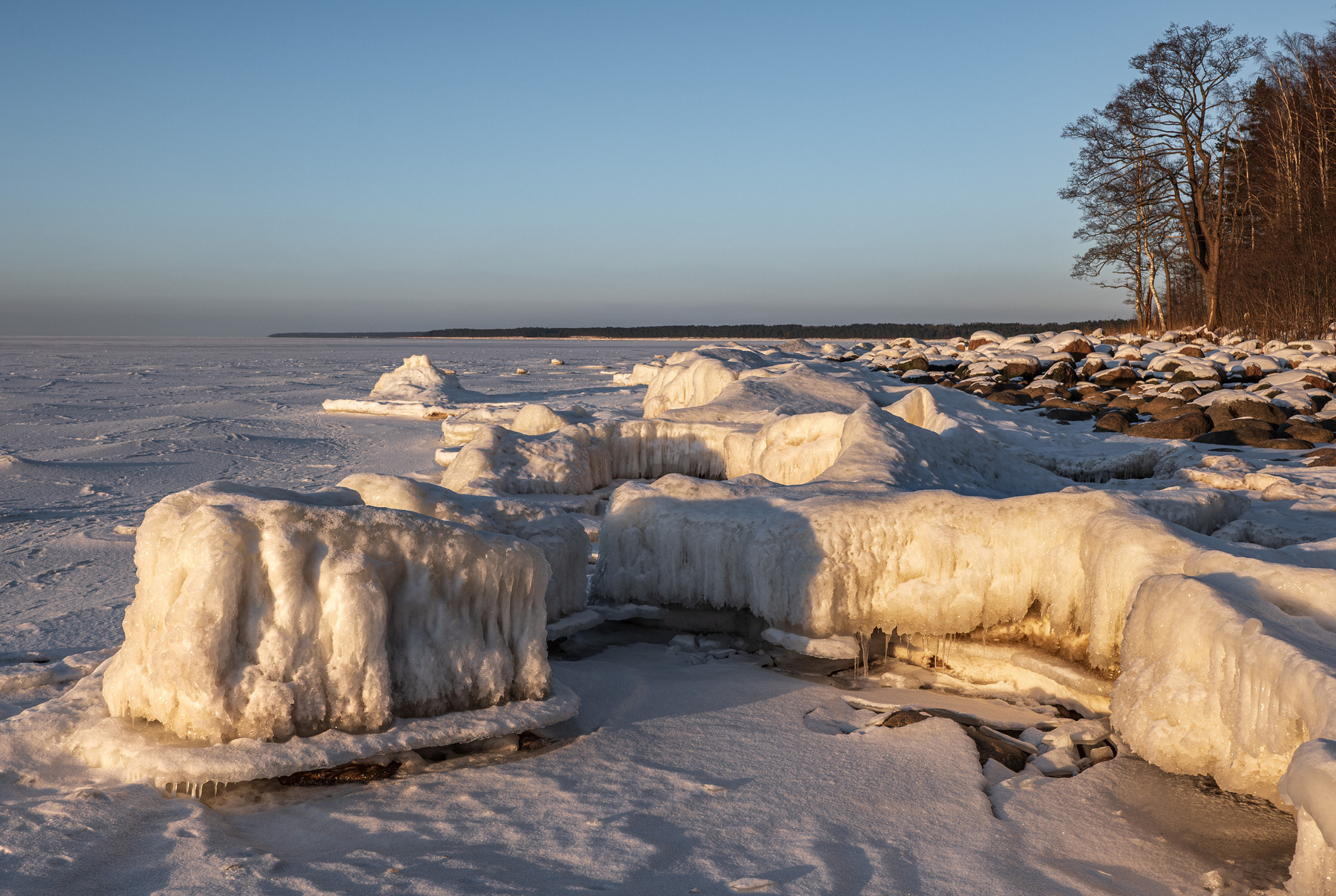 Во льдах 