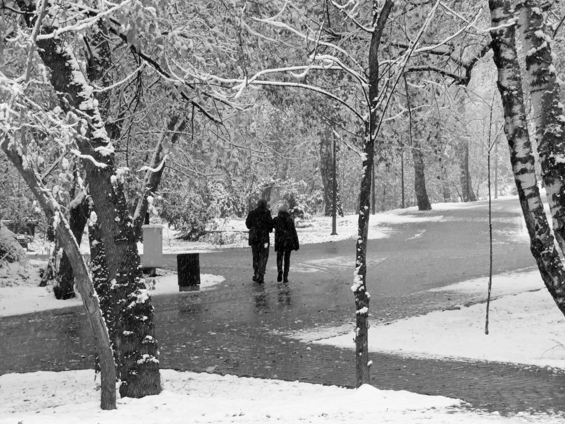 The Winter 