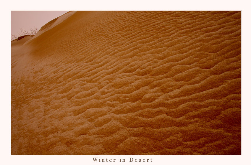 Winter in Desert 