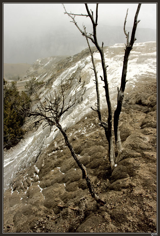 Условия жизни yellowstone geysers