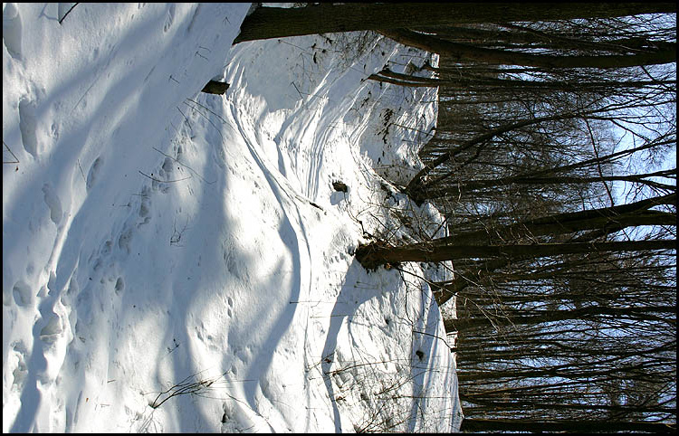 Bye, bye winter 
