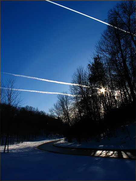 Winter wood winter wood зимний лес