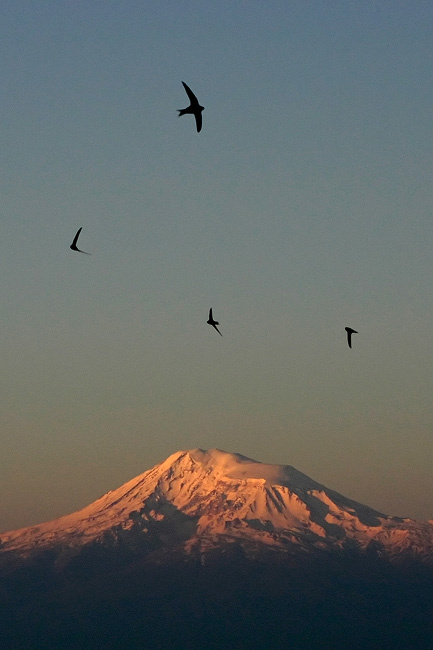 Flying above eternity Ararat