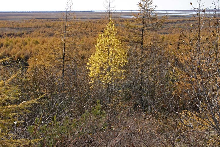 Золотая осень Дальнего Востока 