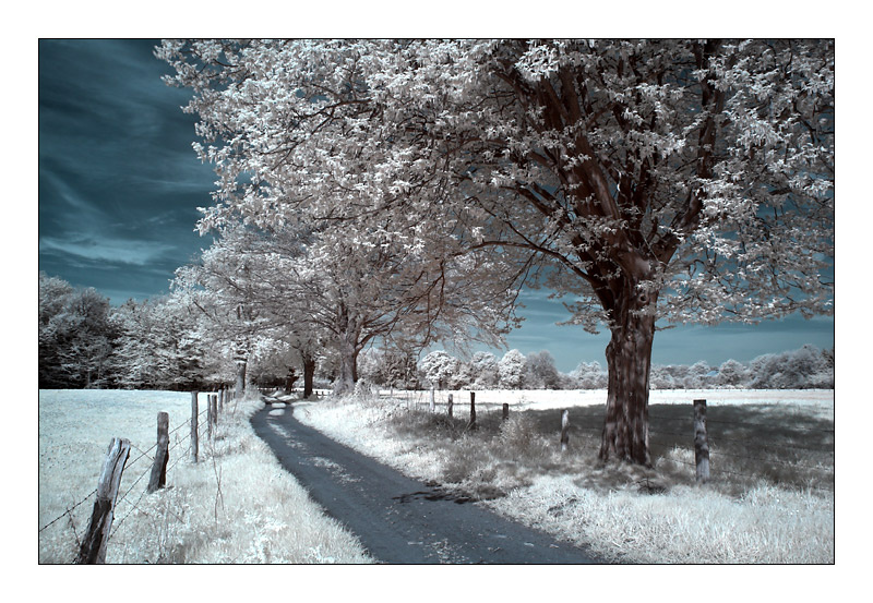 ____*i*_ озеро река девушка горы infrared