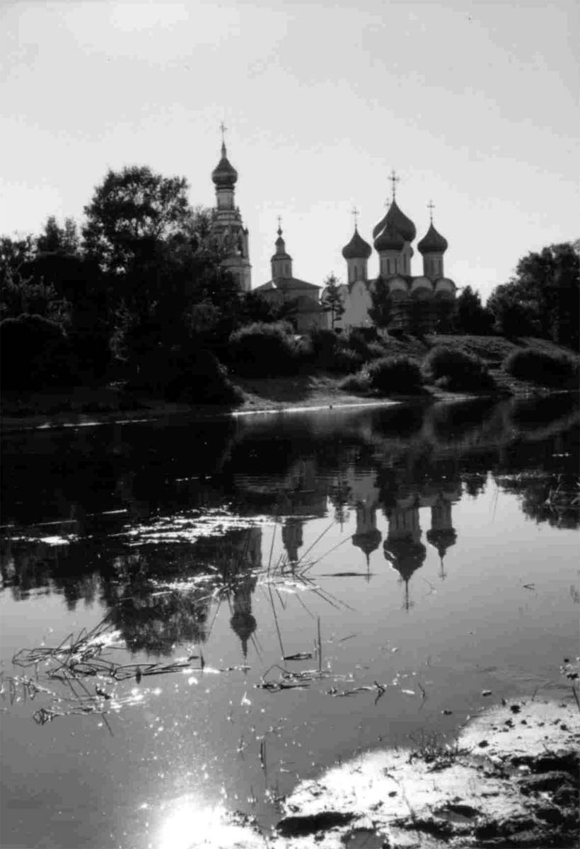 Вологда Вологда отражение травинки купола река