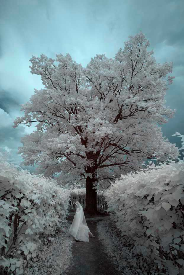 Время не торопиться... Infrared