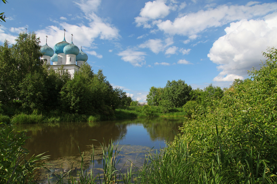 Заросло архангельская область