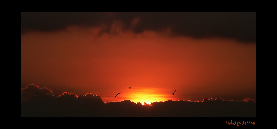 fire sunset (Brazil) Brazil Бразилия fog туман sunset заход солнца birds птицы