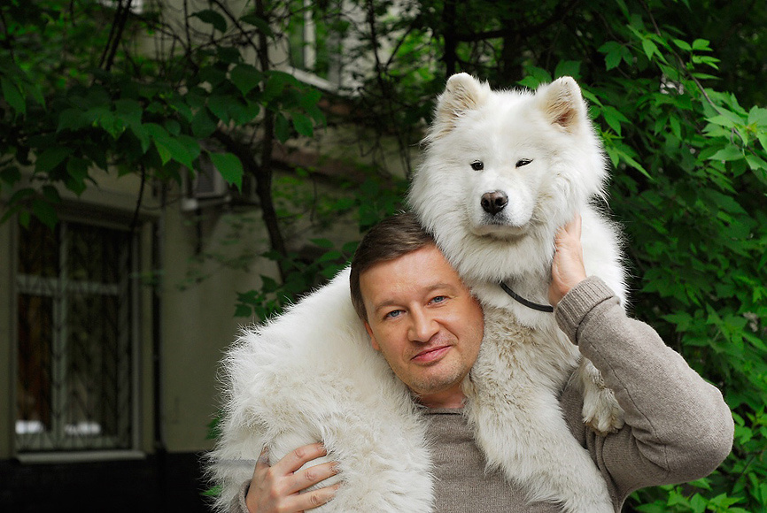 Олег Фомин и Форта 20.05.2009-россия Москва съемка xудожественный фильм " Любить и ненавидеть" aктер Олег Фомин cамоедская собака самоед имя Форта четвероногий артист мосфильм кинология film acter Moscow фотограф орлова-миловацкая екатерина