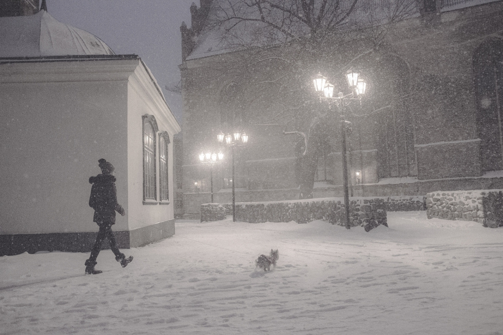 Вечерняя прогулка 
