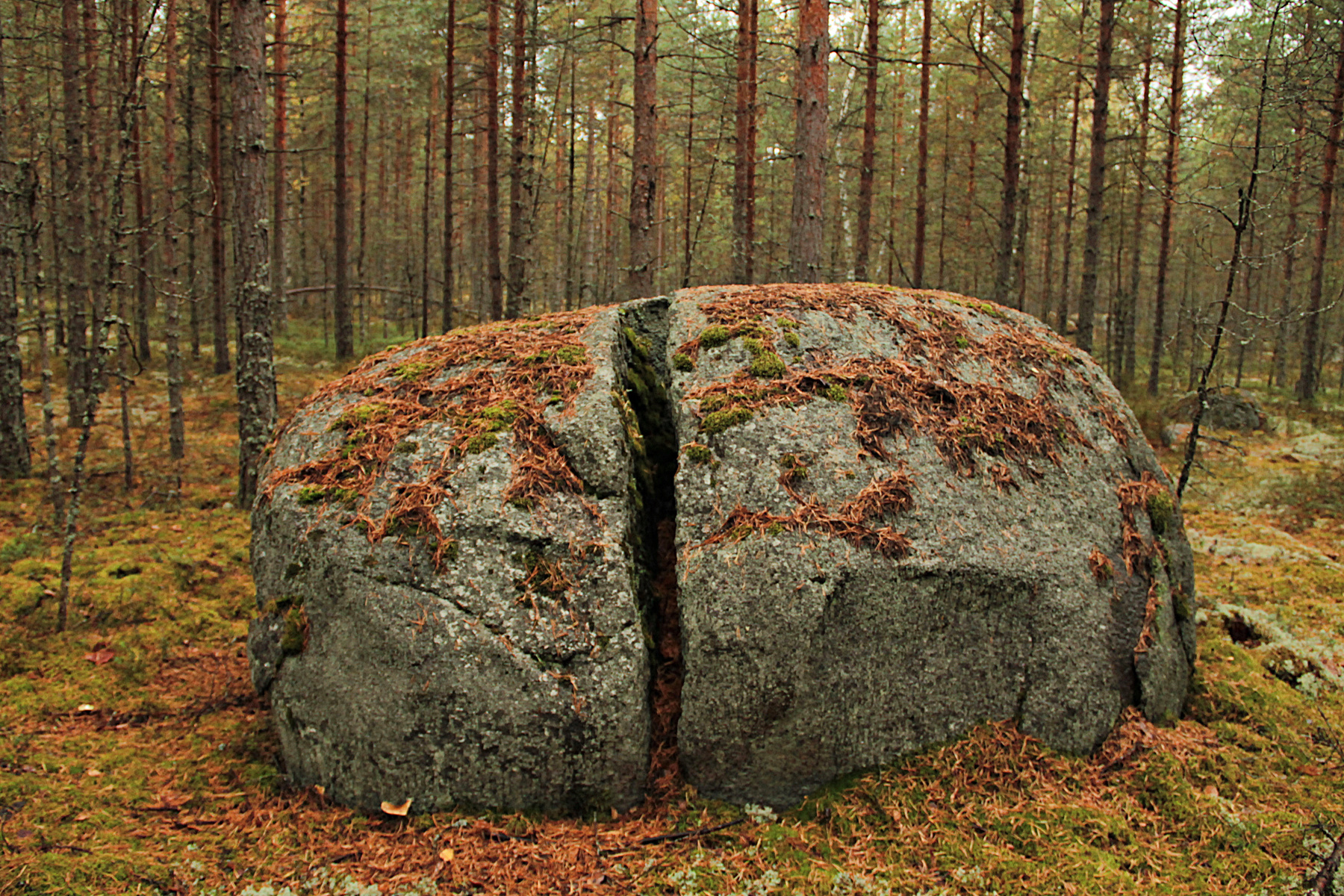 Пополам осень,лес,камень