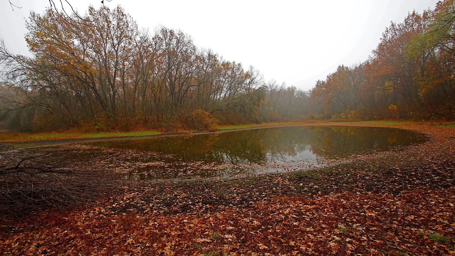 Поздняя осень пойма озеро осень вода ноябрь желтизна пейзаж природа lake autumn landscape november water