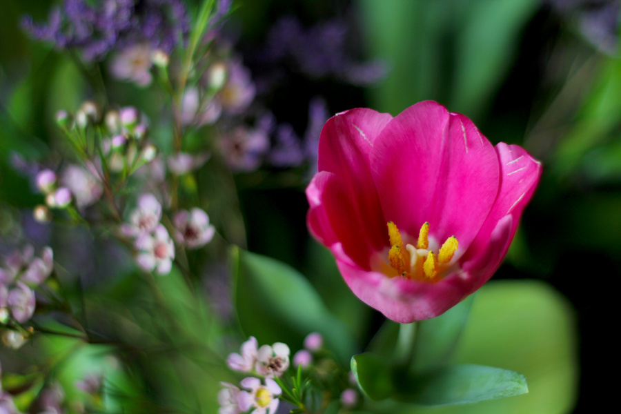 flowers #3 
