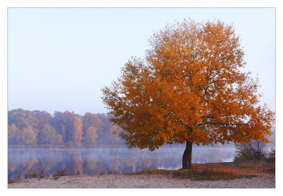 В гости к Осени (3) октябрь