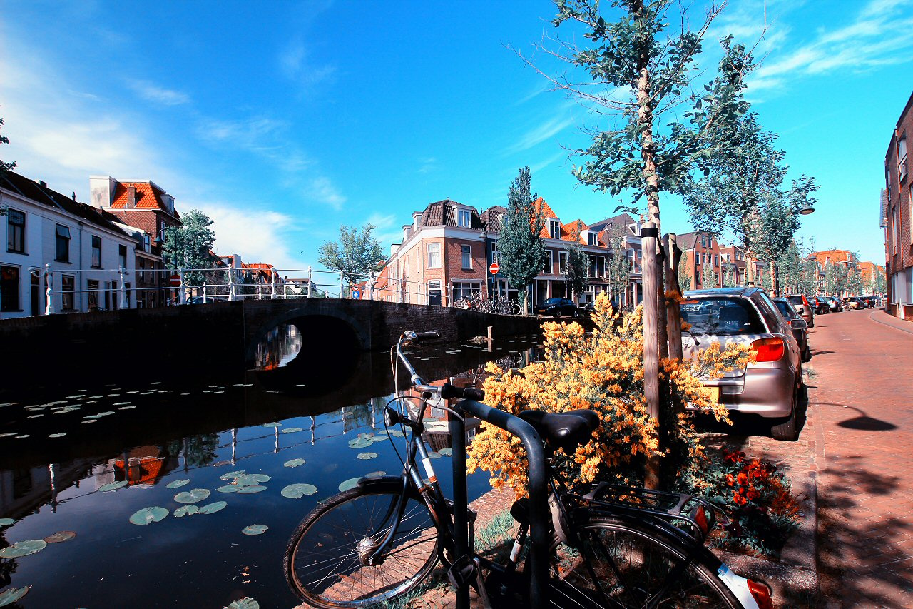 Delft 