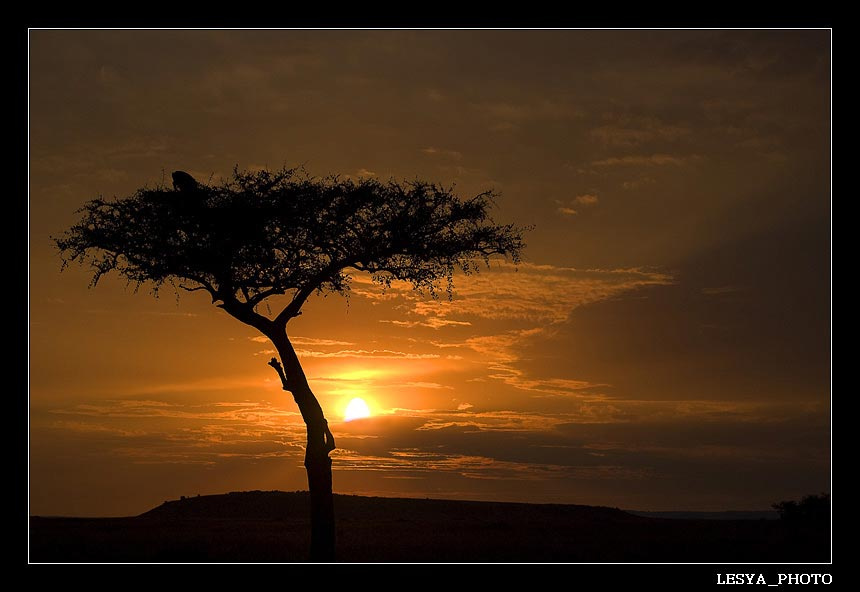 African sunset закат африка кения
