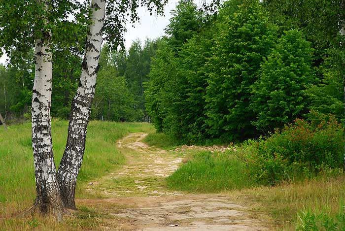 Деревенская 