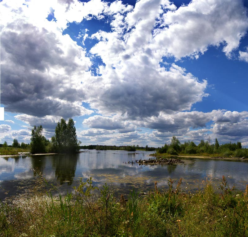 лесное озеро 2 