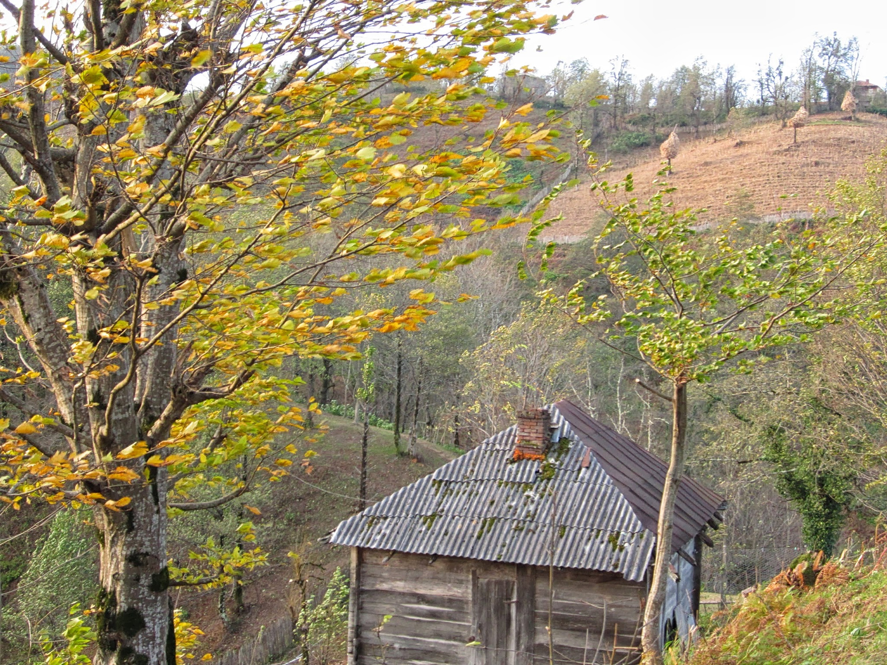 *** Erketi Guria Travel Georgia Грузия Гурия Природа
